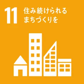 sdgs_ico_11