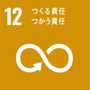 sdgs_ico_12