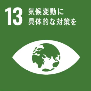 sdgs_ico_13