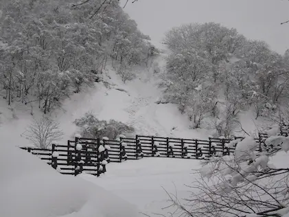 雪崩減勢工